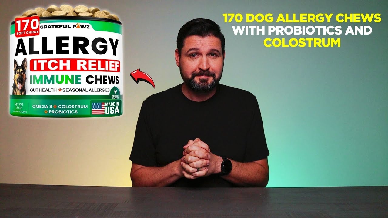 Dog Allergy Chews That Actually Help Itchy Skin