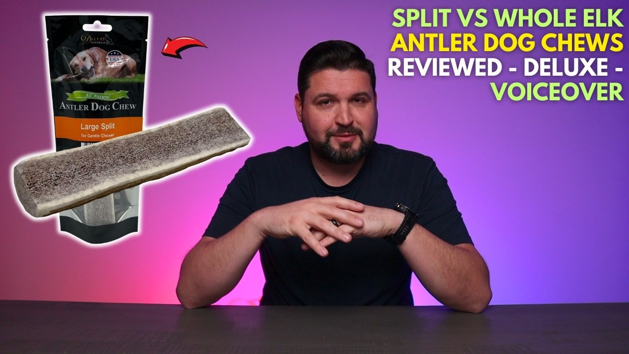 Split vs Whole Elk Antler Dog Chews REVIEWED - Deluxe