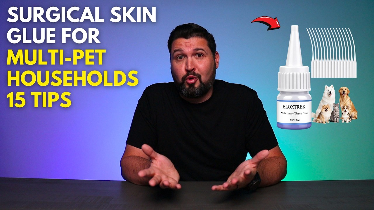 Surgical Skin Glue for Multi-Pet Households - 15 Tips